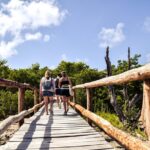 Punta Sur Eco Beach Park Electric Bike Tour in Cozumel - Starting Point and Transportation Logistics in Cozumel