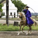 Puszta Tour and Horse Show - From the City to the Hungarian Plain: The Drive and Welcome