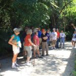 Pyramids Archaeological Site HT - Guided Tours Led by Knowledgeable Experts