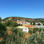 Quad Biking Sightseeing Tour in Albufeira - The Scenic Trails and Terrain Types