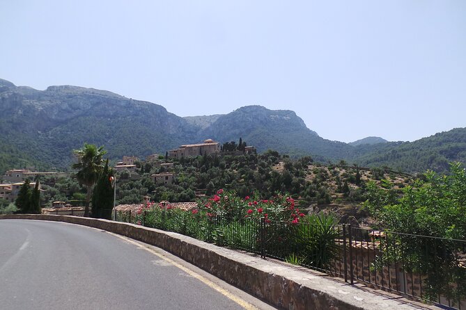 Quad tour from Paguera 3 hours - Mallorcas Southwest Coast: Scenic Highlights on a Quad