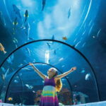 Quebec: Aquarium du Quebec Entry Ticket - Outdoor Marine Habitats: Seals, Polar Bears, and Arctic Foxes