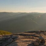 Québec City: Boreal Taiga Guided Hike - Comfortable Transportation from Québec City to the Park