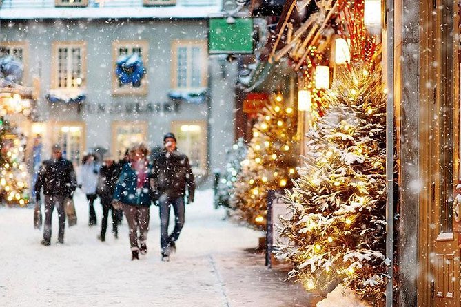 Quebec City & Ice Hotel One Day Trip - Visiting Montmorency Falls in Winter