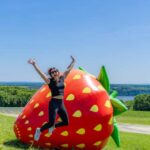 Quebec City: Ile d'Orléans Guided E-Bike Tour with Tastings - What to Expect at the Meeting and Safety Briefing