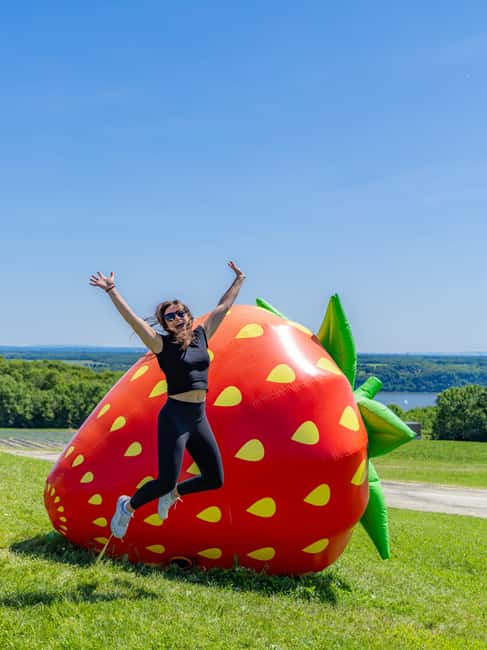 Quebec City: Ile d'Orléans Guided E-Bike Tour with Tastings - What to Expect at the Meeting and Safety Briefing