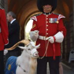 Quebec: La Citadelle de Québec Ticket and Guided Tour - Starting Point and Accessibility in Quebec City