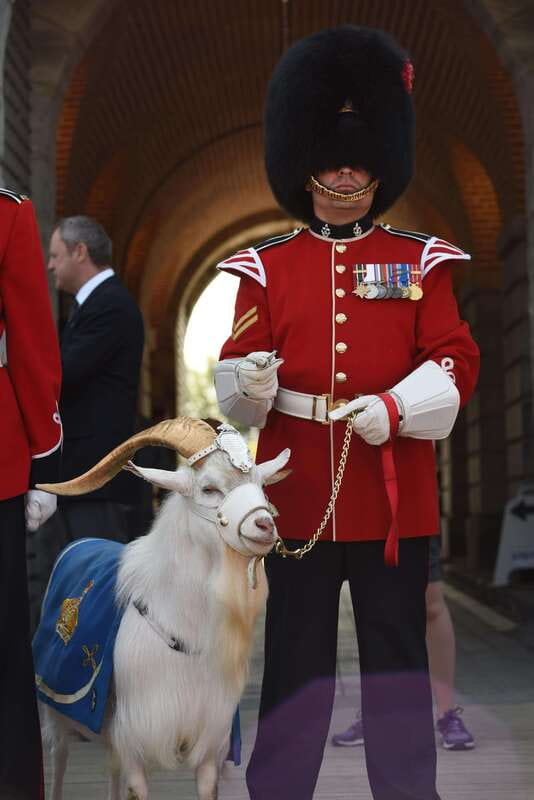 Quebec: La Citadelle de Québec Ticket and Guided Tour - Starting Point and Accessibility in Quebec City