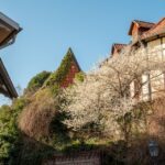 Quedlinburg: Guided City Highlights Walking Tour - Exploring Quedlinburg’s UNESCO Heritage: The Historic Old Town