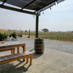 Querétaro: Bernal & Tequisquiapan Trip with Wine & Cheese - Starting Point and Transportation Logistics