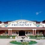 Querétaro: Cheese and Wine Tasting Tour - Discovering Peña de Bernal: The Third Largest Monolith in the World