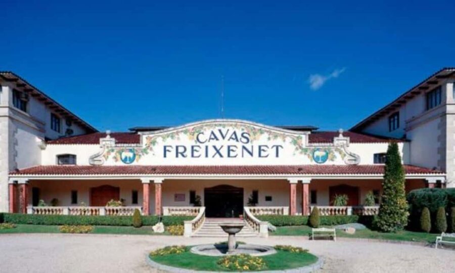 Querétaro: Cheese and Wine Tasting Tour - Discovering Peña de Bernal: The Third Largest Monolith in the World