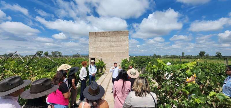 Querétaro: Independence Valley - Guanajuato Wine Tour - Departure from Querétaro at Oh! Turismo Offices