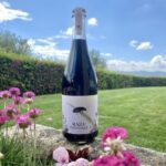 Quinta da Raza Natural Wines - The Unique Appeal of Quinta da Raza’s Natural Wines