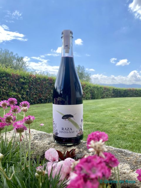Quinta da Raza Natural Wines - The Unique Appeal of Quinta da Raza’s Natural Wines