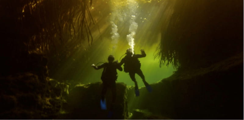 Quintana Roo: Cenote Dive - What the Tour Includes and What to Budget For