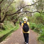 Rabaçal - 25 Fonts - Starting Point and Tour Schedule in Funchal