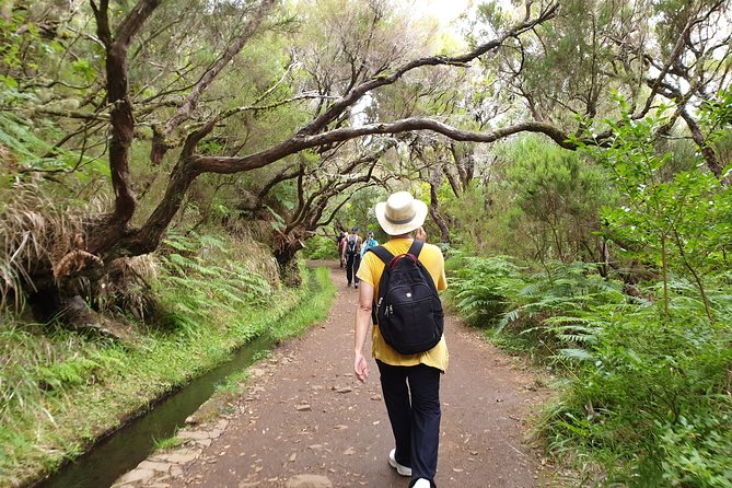 Rabaçal - 25 Fonts - Starting Point and Tour Schedule in Funchal