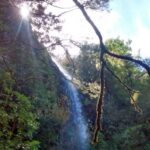 Rabaçal: Lagoa do Vento, Levada Risco and Levada 25 Fontes - From Madeira’s Hotel to the Rabaçal Valley: Convenient Pickup and Transfers