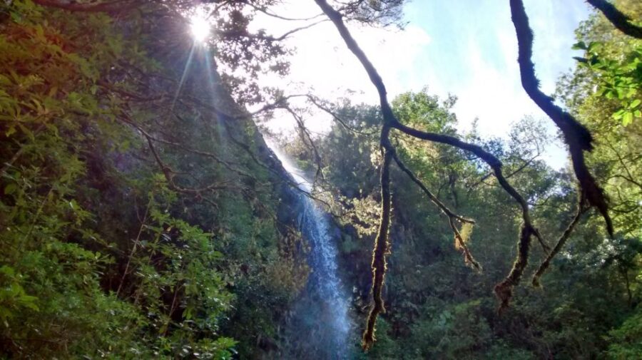 Rabaçal: Lagoa do Vento, Levada Risco and Levada 25 Fontes - From Madeira’s Hotel to the Rabaçal Valley: Convenient Pickup and Transfers
