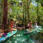 Rainbow River: Paddle Board Tour Adventure - Starting Point and What to Bring