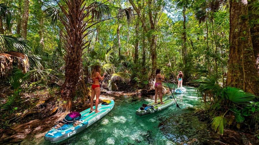 Rainbow River: Paddle Board Tour Adventure - Starting Point and What to Bring