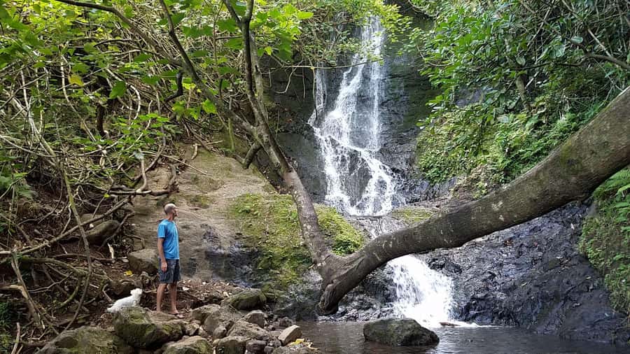 Rainforest to Reef Full-Day: Bike, Hike, Sail and Snorkel - Exploring Hawaii’s Rainforest and Waterfalls