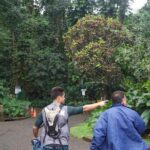 Rainforest Waterfall Trail and Shuttle Service - Tips for a Successful Hike