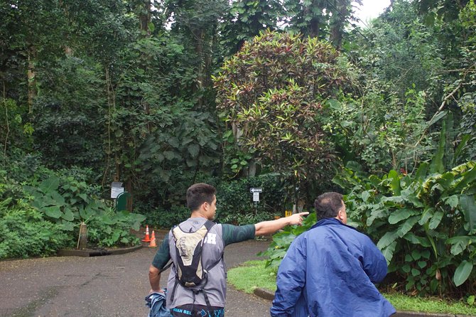 Rainforest Waterfall Trail and Shuttle Service - Tips for a Successful Hike