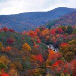 Rainforests and Waterfalls of Western NC - Sliding Rock: A Fun Stop in Pisgah Forest