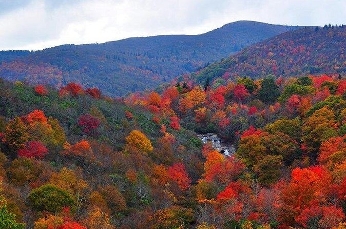 Rainforests and Waterfalls of Western NC - Sliding Rock: A Fun Stop in Pisgah Forest