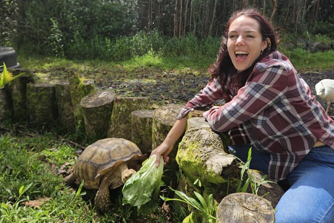 Ranch Tour & Animal Encounters - Discovering Ola Nani Ranch in Hawaii