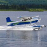 Rangeley Lakes Region Seaplane Tour - Wildlife Spotting: Moose and Other Animals from the Air