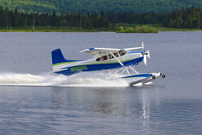 Rangeley Lakes Region Seaplane Tour - Wildlife Spotting: Moose and Other Animals from the Air