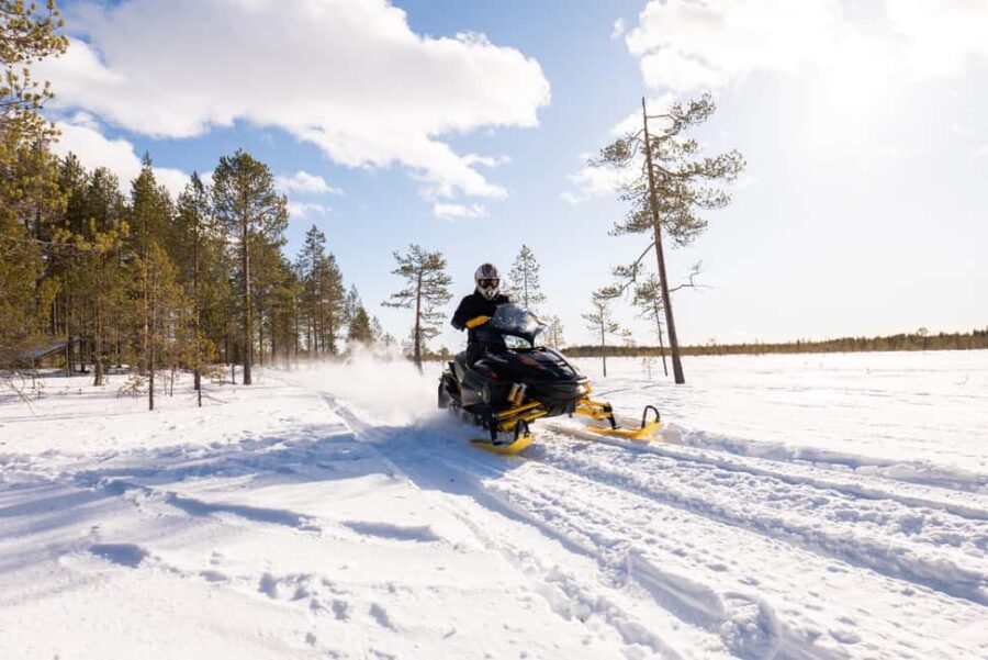 Ranua: Snowmobile Safari with local guide - Meeting Points and Pickup Details in Ranua