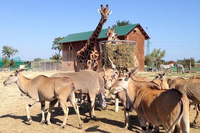 Ravenna: Safari Ravenna entrance ticket - Guided Safari Tours and Animal Encounters