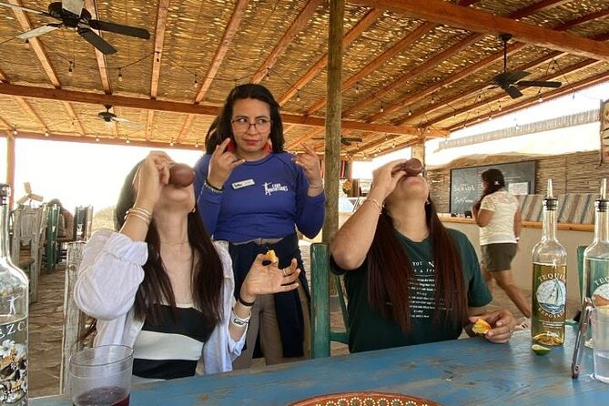 Razer Off-Road Adventure in Los Cabos - Starting Point and Transportation Logistics