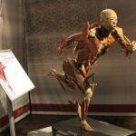 Real Bodies at Horseshoe Las Vegas - What You See Inside the REAL BODIES Exhibit