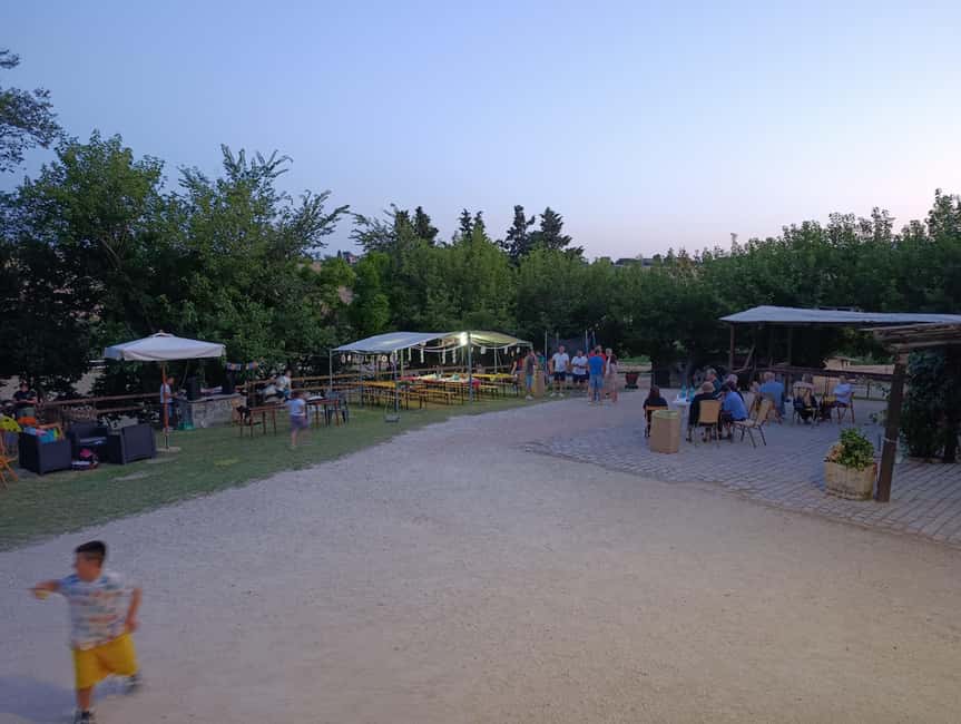 Recanati: Horse riding lessons for kids and adults - The Range of Horseback Activities for Kids and Adults