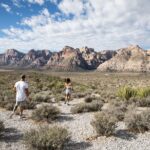 Red Rock Canyon Hike with Transport from Las Vegas - The Trail Choices and Scenic Highlights