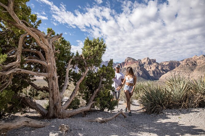 Red Rock Canyon Scooter Tour from Las Vegas - Red Rock Canyon on a Scooter: What Makes This Tour Stand Out