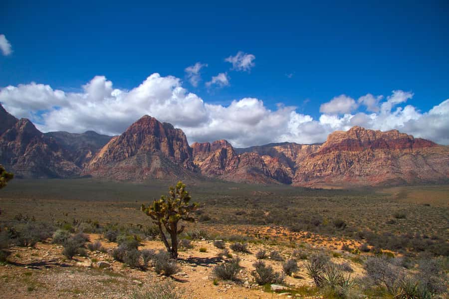 Red Rock Canyon, Seven Magic Mountains, Nelson Ghost Town - Exploring Eldorado Canyon Ghost Town and its Ruins