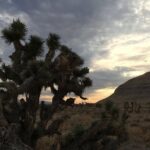 Red Rock Canyon Sunset Horseback Ride and Barbeque Dinner - Horses and Riders of All Levels Welcome