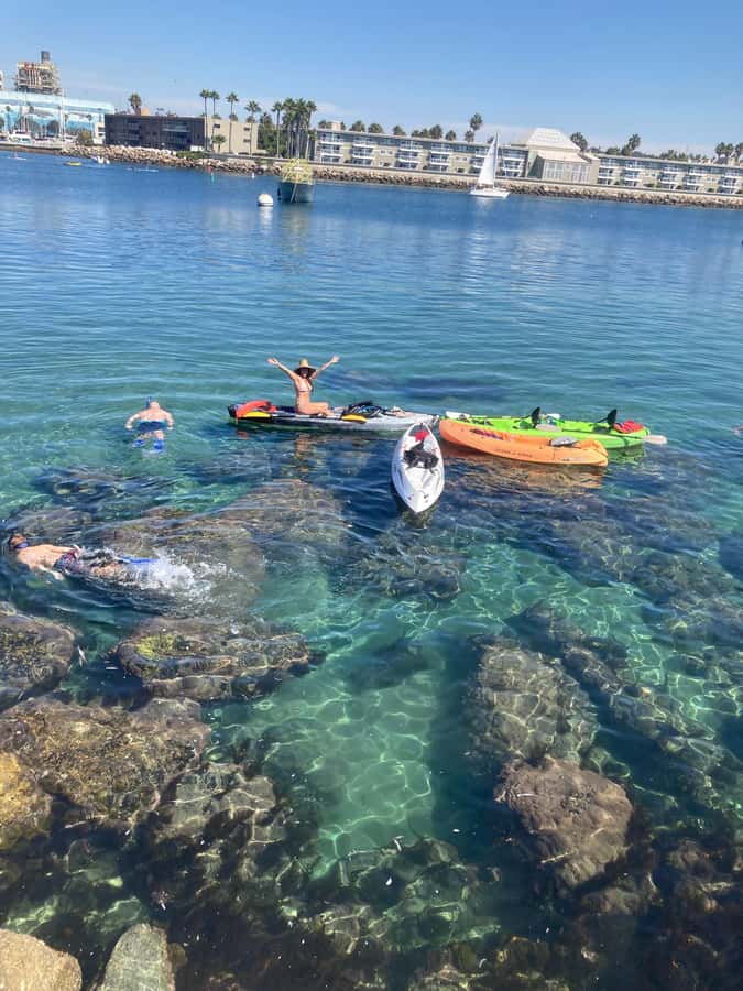 Redondo Beach: Kayak & Snorkel with Sea Lions Tour - Paddle Through Scenic Redondo Harbor and Hidden Coves
