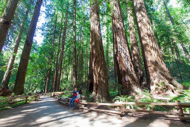 Redwood Retreat: Tour to Muir Woods from San Francisco - Crossing the Golden Gate Bridge to Nature’s Sanctuary