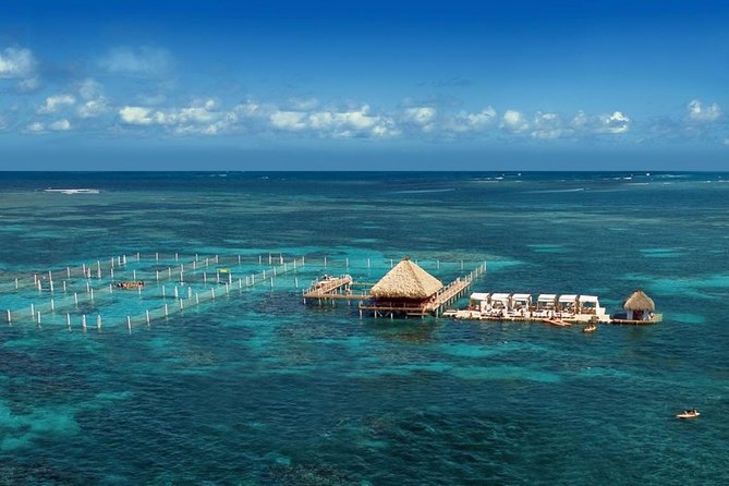 Reef Explorer Half Day Trip - Starting Point at Bavaro Beach