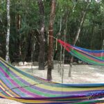 Reef Snorkel + 3 Cenotes with local food experience! - Discovering 3 Distinct Cenotes on the Famous Route