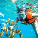 Reef Snorkeling in National Park from Cancun with Beachside Lunch - Snorkeling at the Great Maya Reef: What You’ll See
