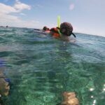 Reef Snorkeling with ATV, Zipline, Cenote that includes lunch and transportation - The Tour Starts with Pickup and Reef Snorkeling in Puerto Morelos