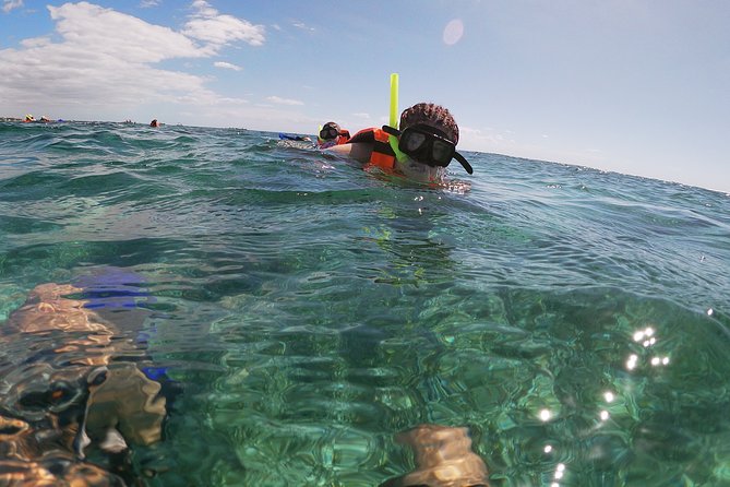 Reef Snorkeling with ATV, Zipline, Cenote that includes lunch and transportation - The Tour Starts with Pickup and Reef Snorkeling in Puerto Morelos